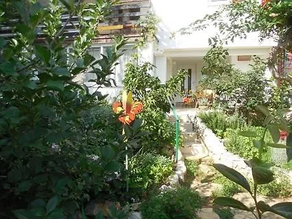 Apartments Azoa Dramalj Croatia